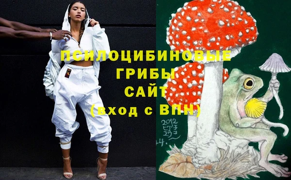 стафф Алексеевка