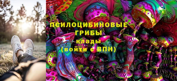 стафф Алексеевка
