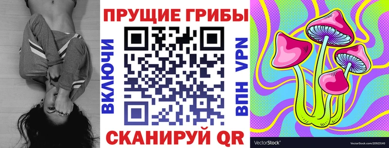 Галлюциногенные грибы Magic Shrooms  где можно купить   Петрозаводск 